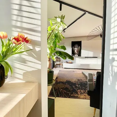 Desk Dawn Apartment